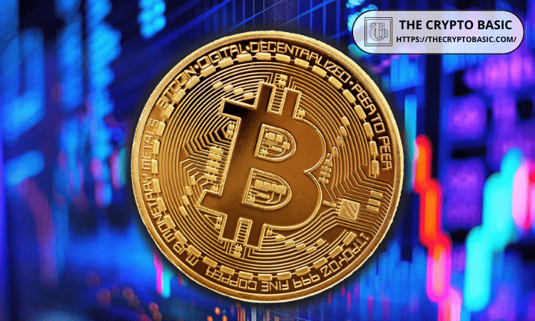 Elon Musk Breaks Silence on Bitcoin After a Long Pause