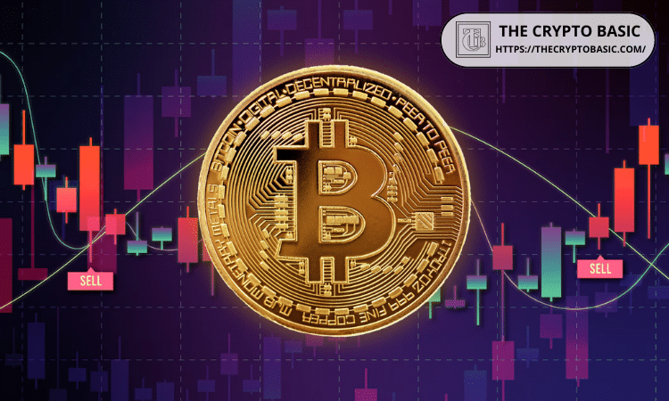 Saylor to Bitcoin Investors, “Don’t Feed the Bears”