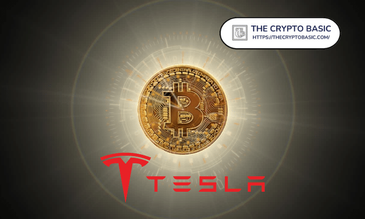 Tesla Reports $80 Million Bitcoin Gains in Q3 2025